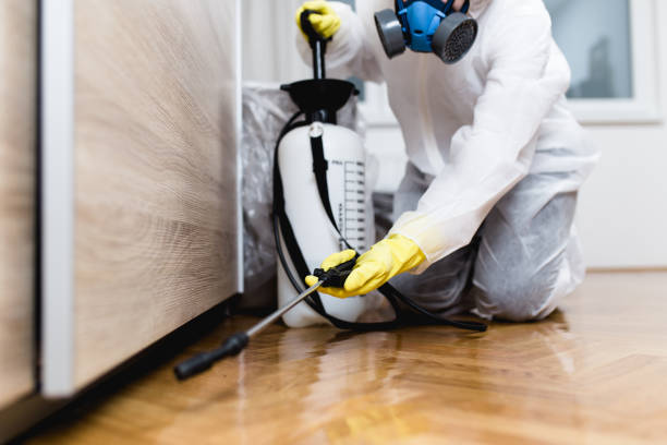 Best Flea Control Services  in Alturas, FL