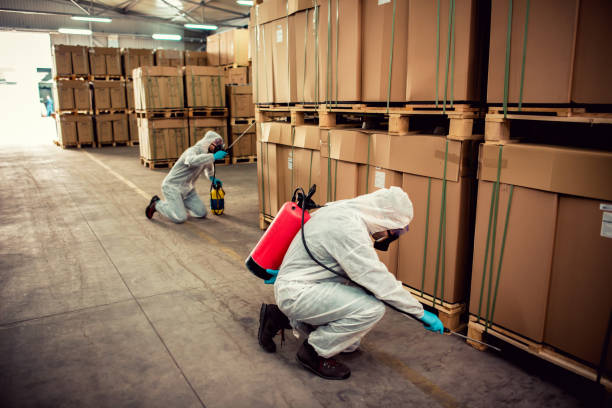 Wildlife Control Services in Alturas, FL