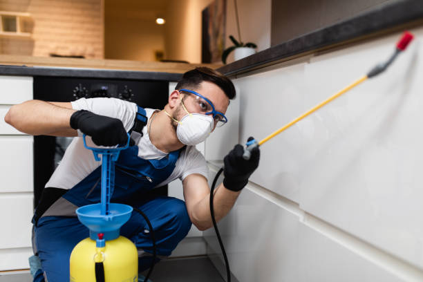 Professional Pest Control in Alturas, FL