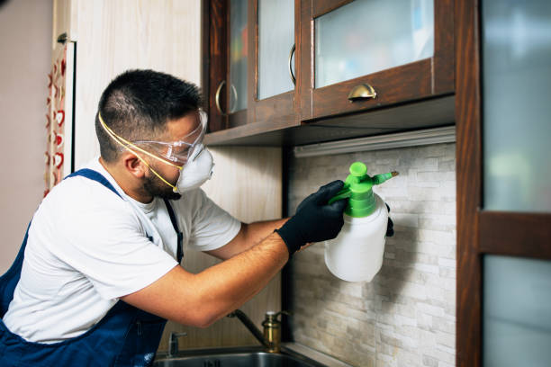 Best Mosquito Control Services  in Alturas, FL