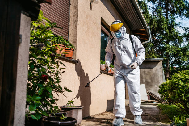Best Cockroach Control Services  in Alturas, FL