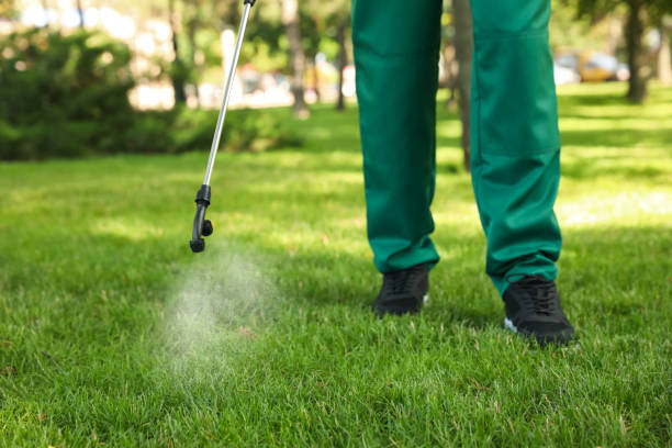 Best Termite Control Services  in Alturas, FL