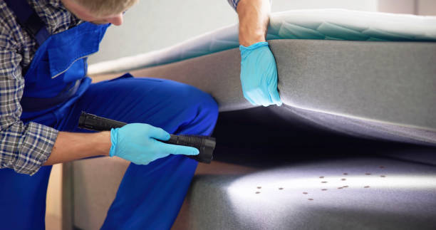 Best Best Pest Control Companies  in Alturas, FL