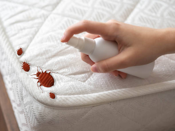 Best Pest Removal Services  in Alturas, FL