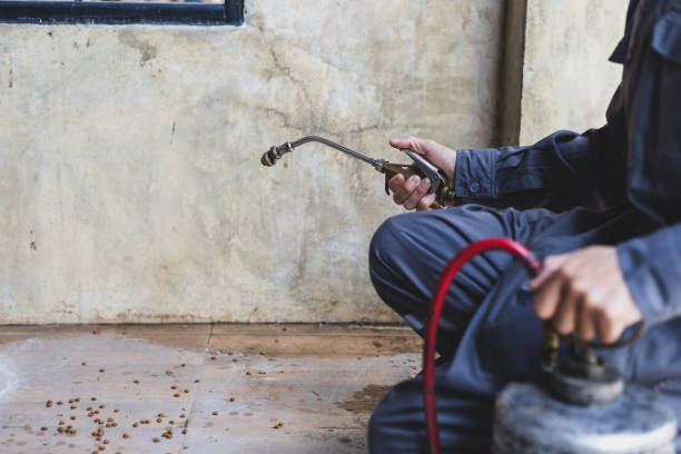 Best Pest Prevention Services  in Alturas, FL